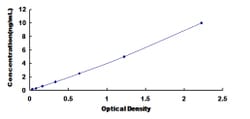Biomatik Corporation Human LIM Domain Binding Protein 1 (LDB1) ELISA Kit,