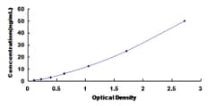 Biomatik Corporation Rat Calumenin (CALU) ELISA Kit, Quantity: Each of