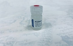 Biomatik Corporation Recombinant Escherichia phage MS2 Capsid protein,