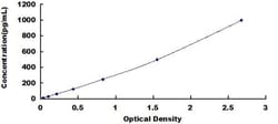 Biomatik Corporation Rat Glypican 4 (GPC4) ELISA Kit, Quantity: Each of