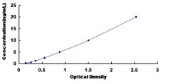 Biomatik Corporation Rat Carboxylesterase 1 (CES1) ELISA Kit, Quantity:
