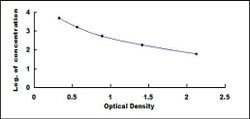 Biomatik Corporation Human Alpha-Crosslaps (aCTx) ELISA Kit, Quantity: