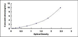 Biomatik Corporation Human Deoxycytidine Kinase (DCK) ELISA Kit, Quantity: