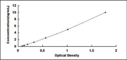 Biomatik Corporation Human Electron Transfer Flavoprotein Alpha Polypeptide