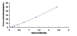 Biomatik Corporation Rat Coupling Factor 6 (CF6) ELISA Kit, Quantity: Each
