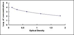 Biomatik Corporation Human Cross Linked C-Telopeptide Of Type III Collagen