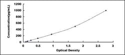 Biomatik Corporation Bovine Vascular Endothelial Growth Factor A (VEGFA)