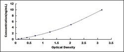 Biomatik Corporation Human Insulin Receptor Substrate 2 (IRS2) ELISA Kit,