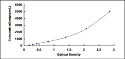 Biomatik Corporation Human Prostaglandin E Receptor 2 (EP2) ELISA Kit,