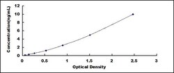 Biomatik Corporation Mouse Crystallin Gamma S (CRYgS) ELISA Kit, Quantity: