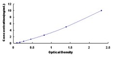 Biomatik Corporation Human DnaJ/HSP40 Homolog Subfamily C, Member 12 (DNAJC12)