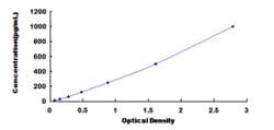 Biomatik Corporation Human Gastrokine 2 (GKN2) ELISA Kit, Quantity: Each