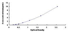 Biomatik Corporation Human Peptidyl Arginine Deiminase Type VI (PADI6)