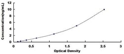 Biomatik Corporation Mouse Guanylate Binding Protein 2, Interferon Inducible