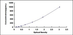 Biomatik Corporation Human Interleukin 20 (IL20) ELISA Kit, Quantity: Each