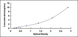 Biomatik Corporation Human Protein Z (PROZ) ELISA Kit, Quantity: Each of