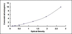 Biomatik Corporation Rat Transcription Factor P65 (RELA) ELISA Kit, Quantity:
