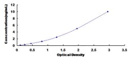 Biomatik Corporation Rat Protein Kinase C Beta 1 (PKCb1) ELISA Kit, Quantity: