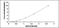 Biomatik Corporation Rat Gastrokine 1 (GKN1) ELISA Kit, Quantity: Each