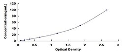 Biomatik Corporation Human Potassium Inwardly Rectifying Channel Subfamily