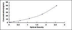 Biomatik Corporation Human Transient Receptor Potential Cation Channel