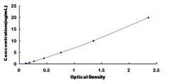Biomatik Corporation Human Glutamate Receptor, Ionotropic, N-Methyl-D-Aspartate