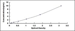 Biomatik Corporation Human Interleukin 22 Receptor (IL22R) ELISA Kit, Quantity:
