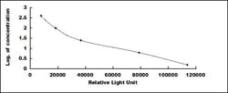 Biomatik Corporation Bovine Serum Albumin (BSA) CLIA Kit, Quantity: Each