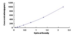 Biomatik Corporation Rat Fibroblast Growth Factor 11 (FGF11) ELISA Kit,