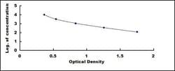 Biomatik Corporation Rabbit N-Terminal Pro-Brain Natriuretic Peptide (NT-ProBNP)