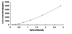 Biomatik Corporation Rat O-6-Methylguanine DNA Methyltransferase (MGMT)
