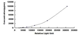 Biomatik Corporation Human Glucose-6-Phosphatase, Catalytic (G6PC) CLIA