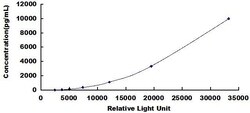 Biomatik Corporation Human Ras Related C3 Botulinum Toxin Substrate 1 (Rac1)