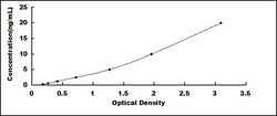Biomatik Corporation Rat Microtubule Associated Protein 1A (MAP1A) ELISA