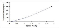 Biomatik Corporation Human Citrate Synthase (CS) ELISA Kit, Quantity: Each