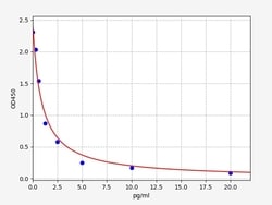 Biomatik Corporation Human ADH (Antidiuretic Hormone) ELISA Kit, Quantity:
