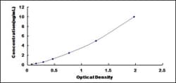 Biomatik Corporation Rat Platelet Derived Growth Factor Receptor Alpha