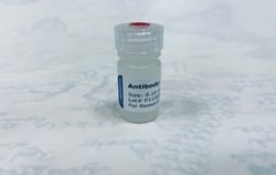 Biomatik Corporation Immunoglobulin E (Ige) Monoclonal Antibody, Quantity:
