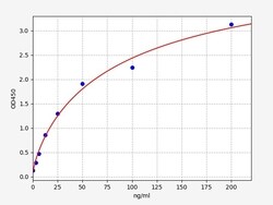 Biomatik Corporation Human C1INH (Complement 1 Inhibitor) ELISA Kit, Quantity: