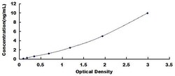 Biomatik Corporation Rat Peroxidasin Homolog (PXDN) ELISA Kit, Quantity: