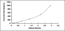 Biomatik Corporation Rat Chemokine (C-X-C Motif) Ligand 3 (CXCL3) ELISA