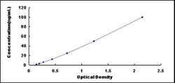 Biomatik Corporation Human Carcinoembryonic Antigen Related Cell Adhesion
