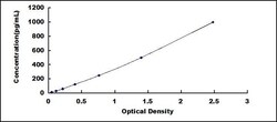 Biomatik Corporation Human Vascular Endothelial Growth Factor C (VEGFC)