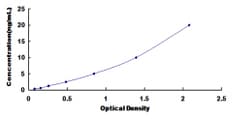 Biomatik Corporation Human UDP-Glucose Glycoprotein Glucosyltransferase