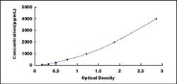 Biomatik Corporation Horse Eosinophil Chemotactic Factor (ECF) ELISA Kit,