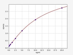 Biomatik Corporation Human DDT (D-Dopachrome Tautomerase) ELISA Kit, Quantity:
