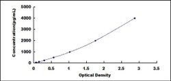 Biomatik Corporation Chicken Ciliary Neurotrophic Factor (CNTF) ELISA Kit,