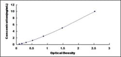 Biomatik Corporation Human Calmodulin Like Protein 3 (CALML3) ELISA Kit,