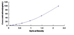 Biomatik Corporation Pig Vascular Endothelial Growth Factor Receptor 2