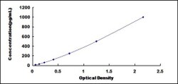 Biomatik Corporation Rat Fibroblast Growth Factor 4 (FGF4) ELISA Kit, Quantity: